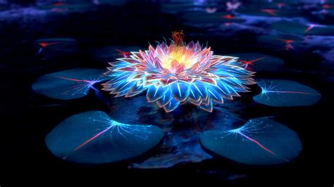 Lotus Flower Images Hd Wallpaper | Best Flower Site