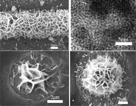 Morphologies Of Zinc Oxide Nanostructures Reprinted With Permission