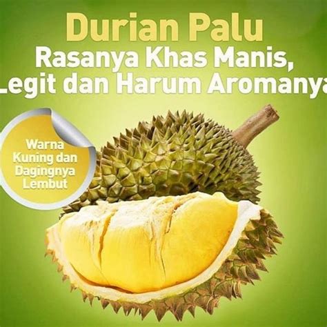 Jual DURIAN MONTONG PALU PARIGI FRESH MASIH DENGAN KULIT BERAT 4 5KG