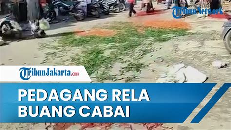 Bentuk Protes Pedagang Rela Buang Ratusan Kilogram Cabai Bernilai