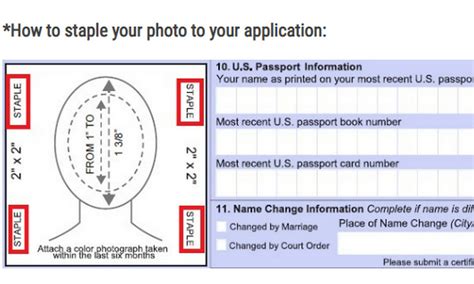 Us Passport Child Renewal Application 2024 - Sile Yvonne