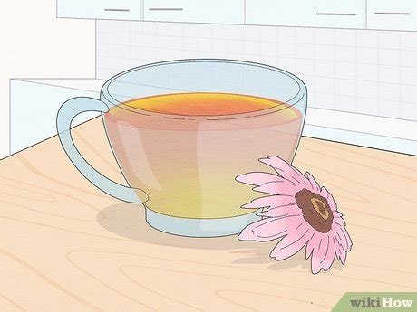 how to make antibiotics at home