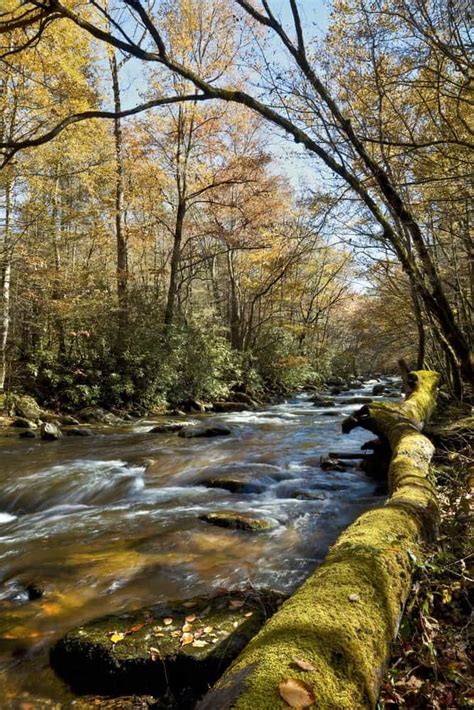 4 Tips To Help You Enjoy Cades Cove Activities In The Spring