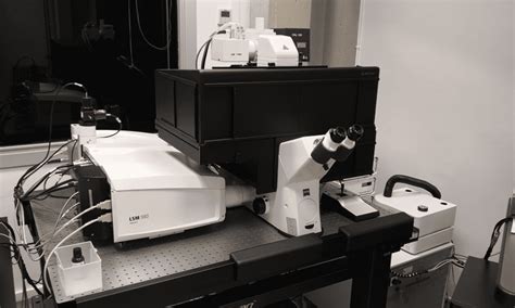 Confocal Zeiss LSM 980 Servei de Microscòpia SM UAB Barcelona