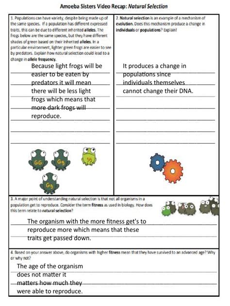 Amoeba Sisters Video Recap Speciation Answer Key Amoeba Sist