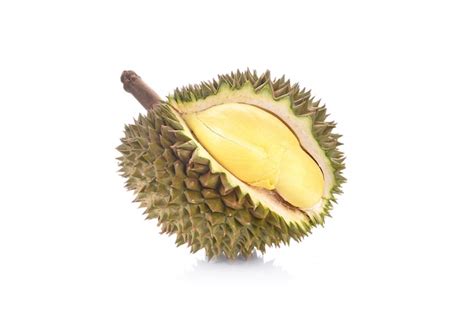 Premium Photo | Durian seeds isolated.