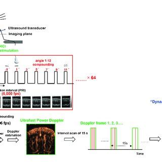 Experimental Setup Of Dynamic Ultrafast Doppler A Schematic