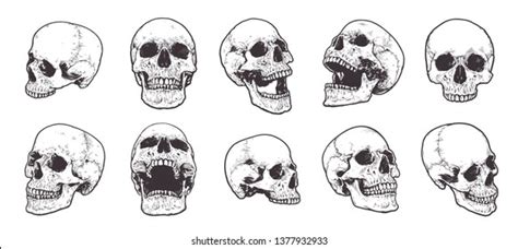 435906 Vectores De Skull Vectores Imágenes Y Arte Vectorial De