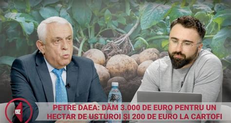 Se dau 3000 de euro de la stat Vestea imensă venită oficial de la