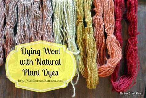 Dyeing Wool with Natural Plant Dyes - Timber Creek Farm