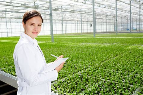 Agricultural Engineer At Work Stock Photo Image Of Harvest