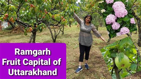 Ramgarh Fruit Capital Of Uttarakhand Best Place To Visit Near