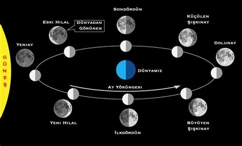 Ayın evreleri güneş ışınları yukardan ve aşağıdan Eodev