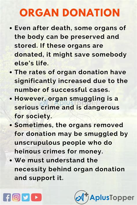 Essay On Organ Donation Organ Donation Essay For Students And