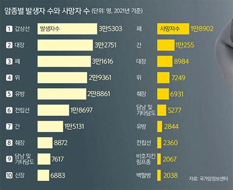 국내 암 중 사망자 발생 2위의 ‘치명적 간암 B형 간염 줄어드는 만큼 ‘지방간 알코올 간염 늘어나