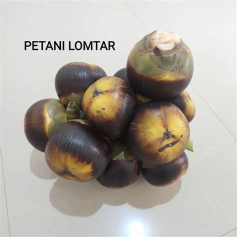 Jual Buah Lontar Siwalan Buah Bulat Isi Biji Shopee Indonesia