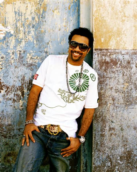 Shaggy Albums and Discography