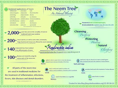 Infographic - Benefits of Neem for Health and Vitality Antiviral ...