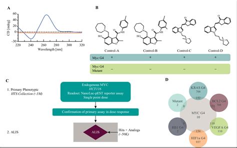 Figure 1 From Identification Of G Quadruplex Binding Inhibitors Of Myc Expression Through