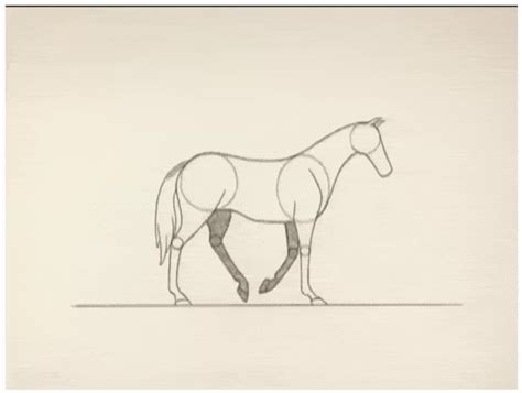 How do I improve the bottom part of this horse walk cycle animation ...