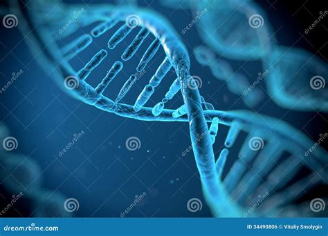 DNA Molecules Royalty Free Stock Image - Image: 34490806