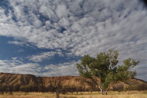 In the Heart of the Australian Outback, Safeguarding a Sacred Land - The New York Times