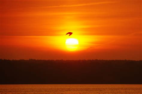 Dawn | Photo