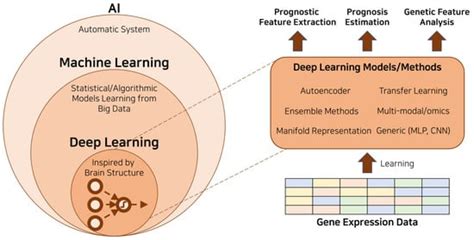 Biology Free Full Text Deep Learning Techniques With Genomic Data