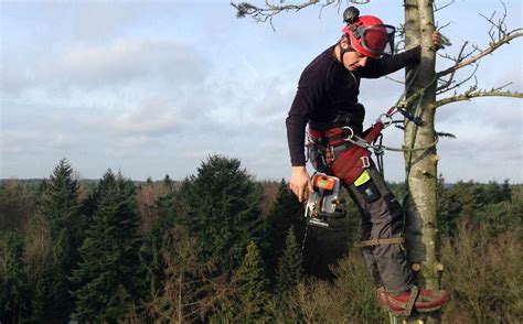 Cursus European Tree Worker Opleiding Groene Veluwe