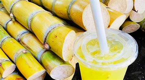 cong dung chua benh tu nuoc mia  ai ngo toi