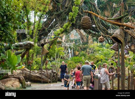 Les Visiteurs Du Monde De Pandora Dans Avatar Disneys Animal Kingdom