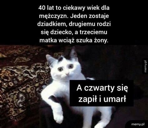 40 Lat Memy Pl