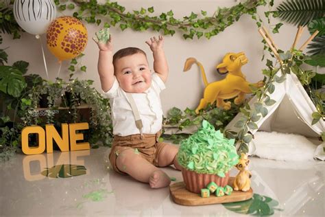 Jungle Lion King Cake Smash Fotoshoot Zuid Holland Hellevoetsluis Artofit