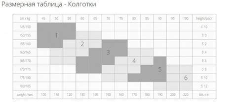 Размеры женских колготок — таблица, калькулятор подбора, правильный выбор