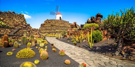 Isole Canarie Quali Sono Mappa E Cosa Vedere The Wom Travel