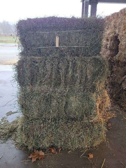 Rd Alfalfa Grass Mix Rogers Community Auction Inc