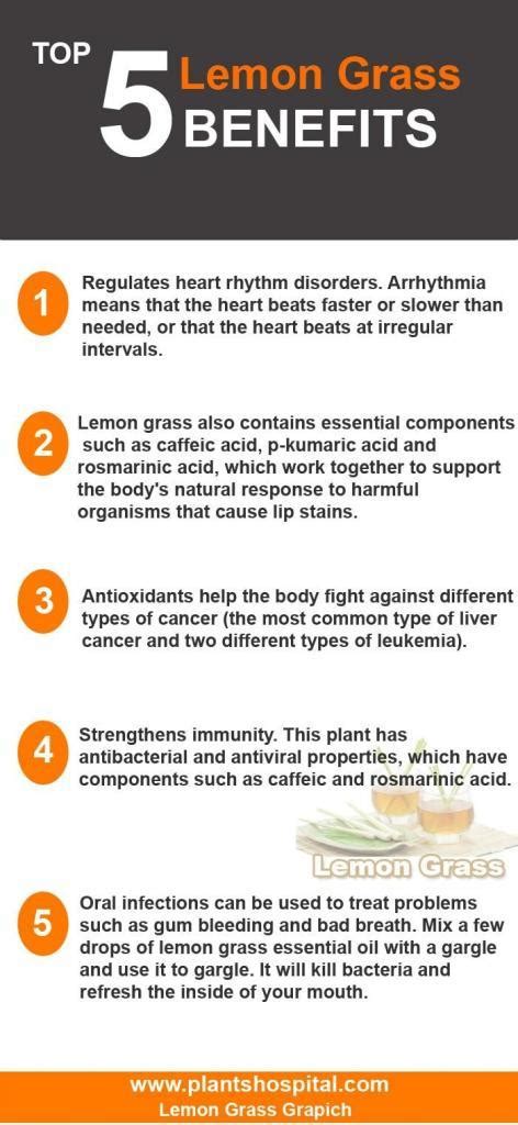 Lemongrass Health Benefits Uses And Warnings