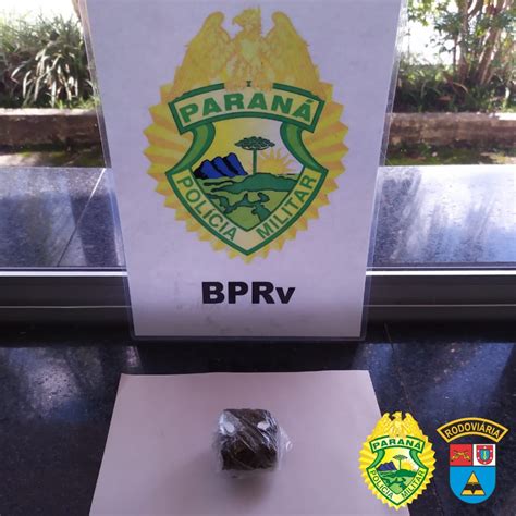 Cão de Faro do BPRv localiza maconha em Pontal do Paraná durante a