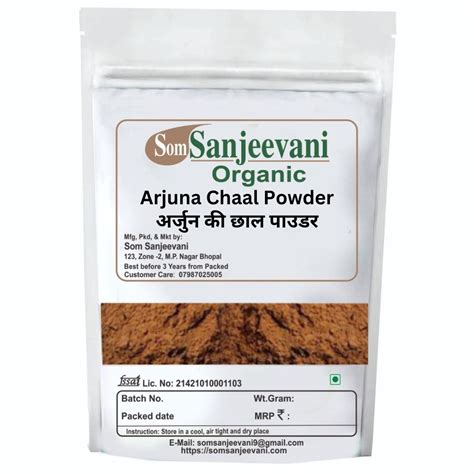 Som Sanjeevani Organic Pudina Mint Leaves Powder