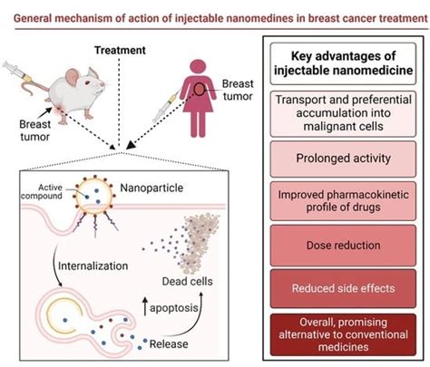 Pharmaceutics Free Full Text Injectable Nano Drug Delivery Systems For The Treatment Of