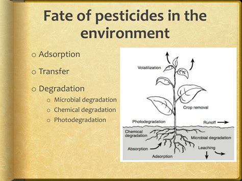 Ppt Fate Of Pesticides In The Environment Powerpoint Presentation