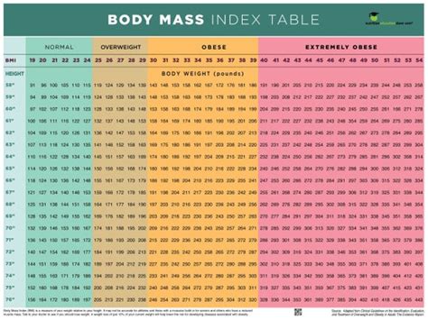 BMI Poster BMI Chart Poster Body Mass Index Poster - Etsy Australia