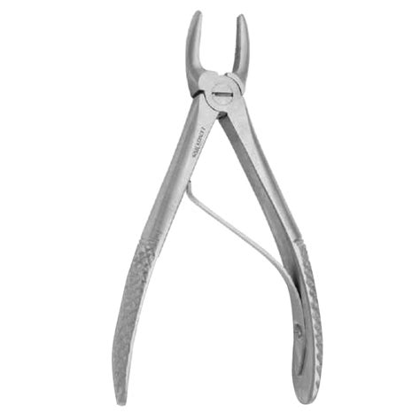 Baby Extracting Forceps English Pattern Klein Pedodontics Upper