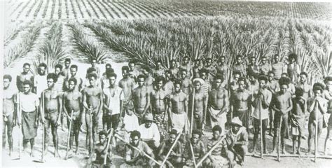 THE BLACK SOCIAL HISTORY:: BLACK SOCIAL HISTORY : AUSTRALIA SLAVERY ...