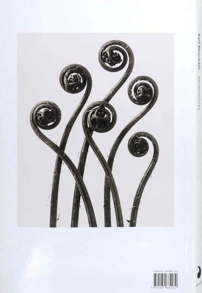 Karl Blossfeldt Masterworks By Karl Blossfeldt Hardcover Barnes