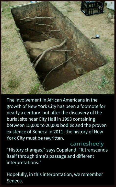 fascinating underground trench  trees