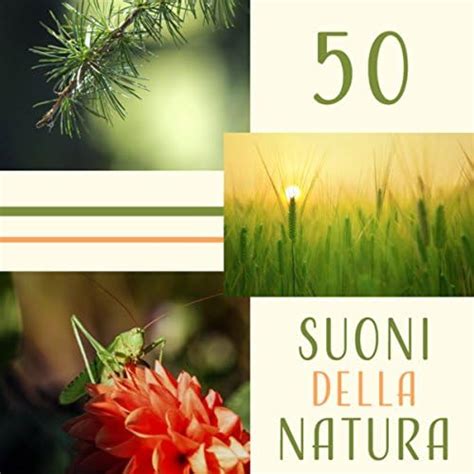 Amazon Music Suoni naturali zenの50 Suoni della natura Zen musica