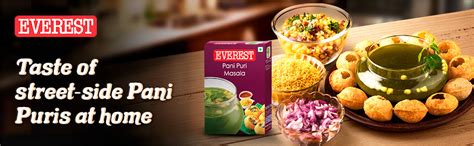 Everest Pani Puri Masala 100g Amazon In Grocery Gourmet Foods