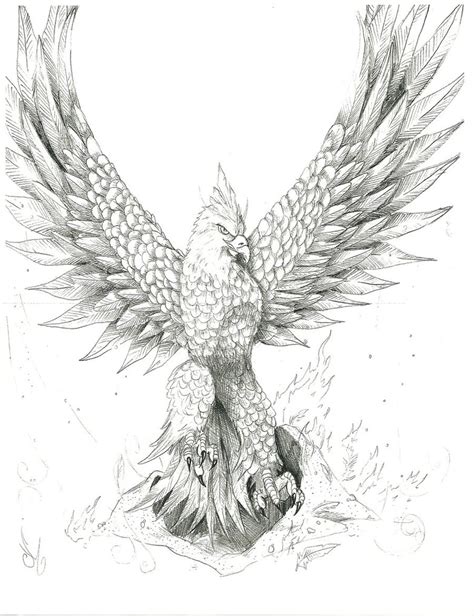 Phoenix Drawing at PaintingValley.com | Explore collection of Phoenix ...