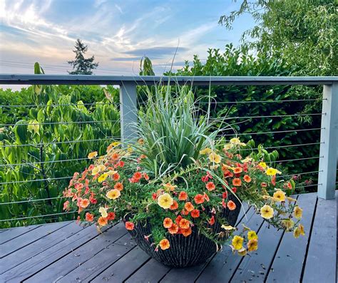 How Do You Create a Container Garden? Start Here. - The New York Times